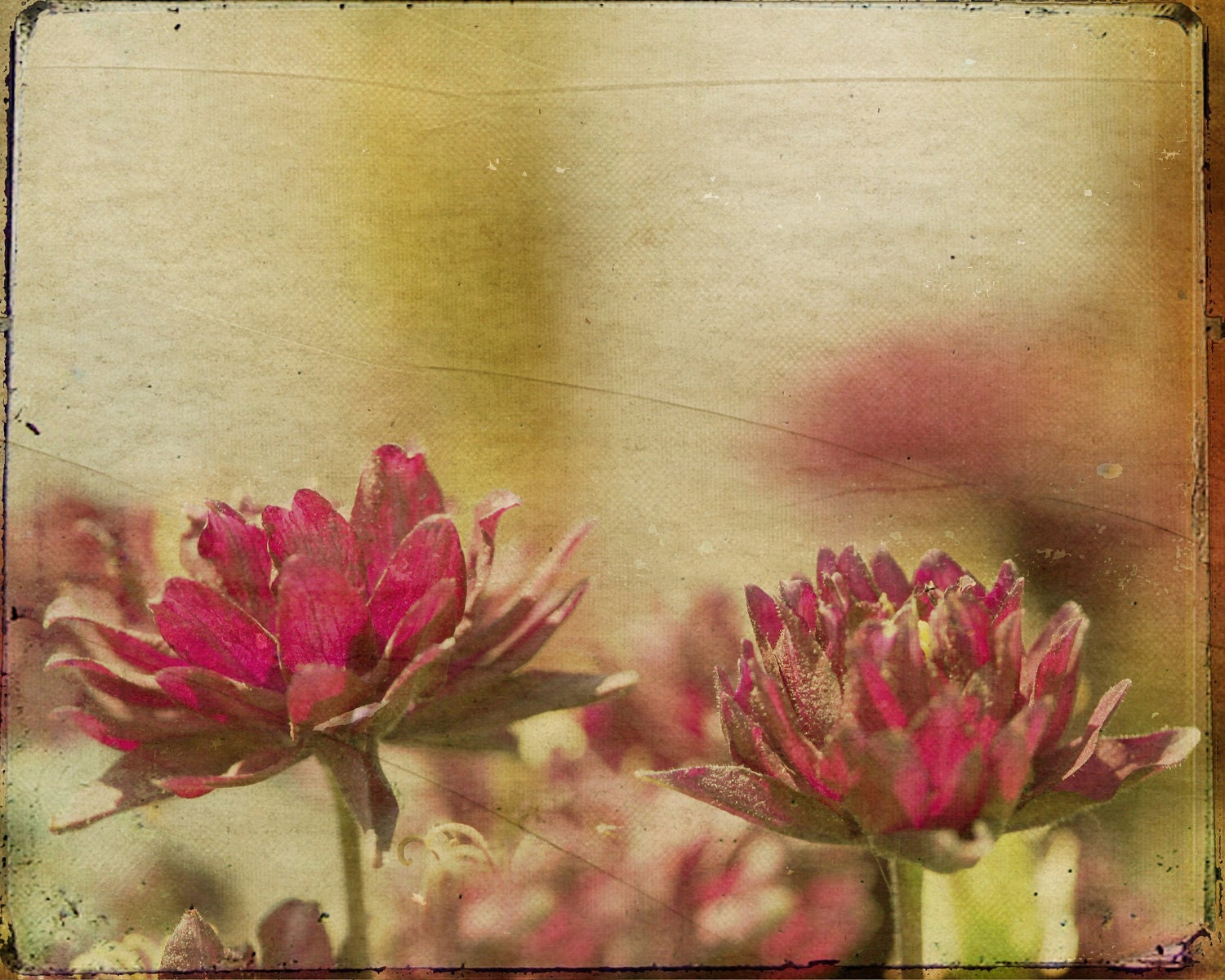 Same Thing 8x10 Print