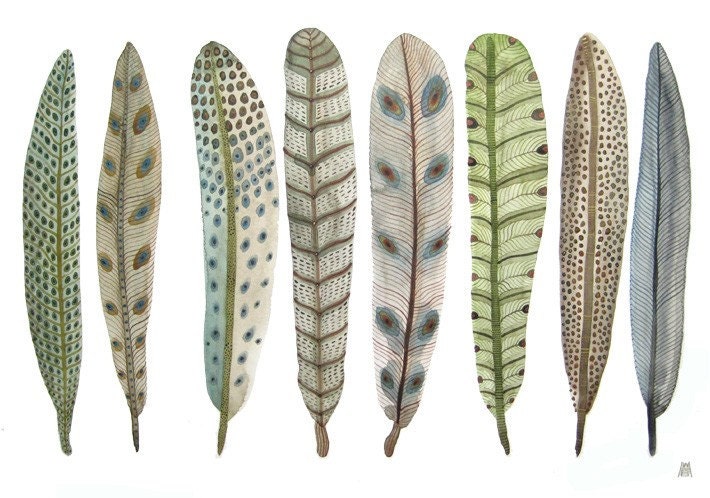 Fanciful Feather Collection No. 10 original fine art watercolor painting