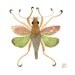 Flying Grasshopper No. 2 original watercolor painting