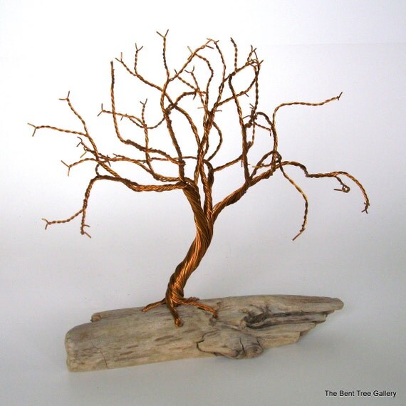 Twisted Wire Tree with Driftwood Base by TheBentTreeGallery