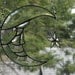 Brilliant Moon Man with Star Bevel Sun Light Catcher
