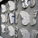 Darwin. Origin of Species. Butterfly Framed art