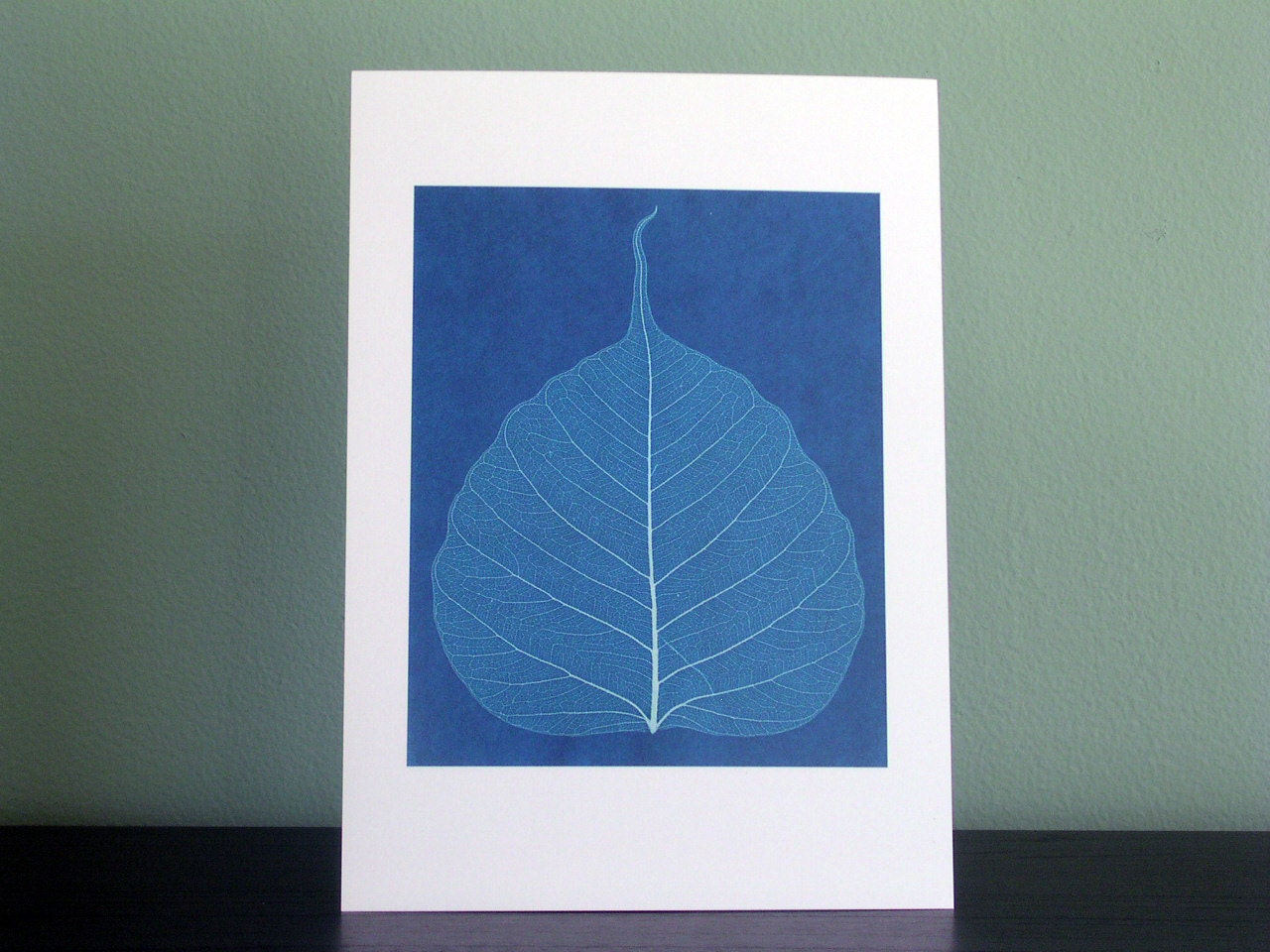 Leaf Veins- High-Quality 5x7 Giclee Print of Original Cyanotype Artwork
