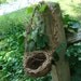 Rustic Flower Girl Basket with Wispy Roots for Your Eco-Conscious Wedding Virginia Creeper