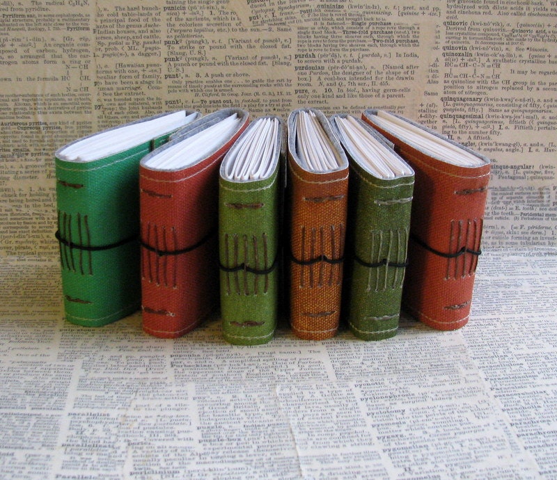 6 blank little pocket journals by bluetoad journals of tremundo