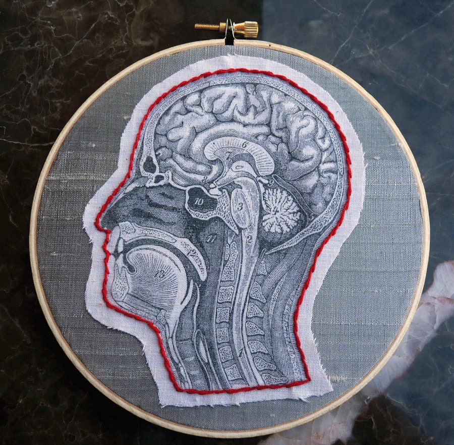 Anatomical Embroidery Hoop Anatomy Geekery Medical Diagram Fiber Art Human Head Gray Red