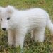 Spirit the White Wolf, Pattern, PDF