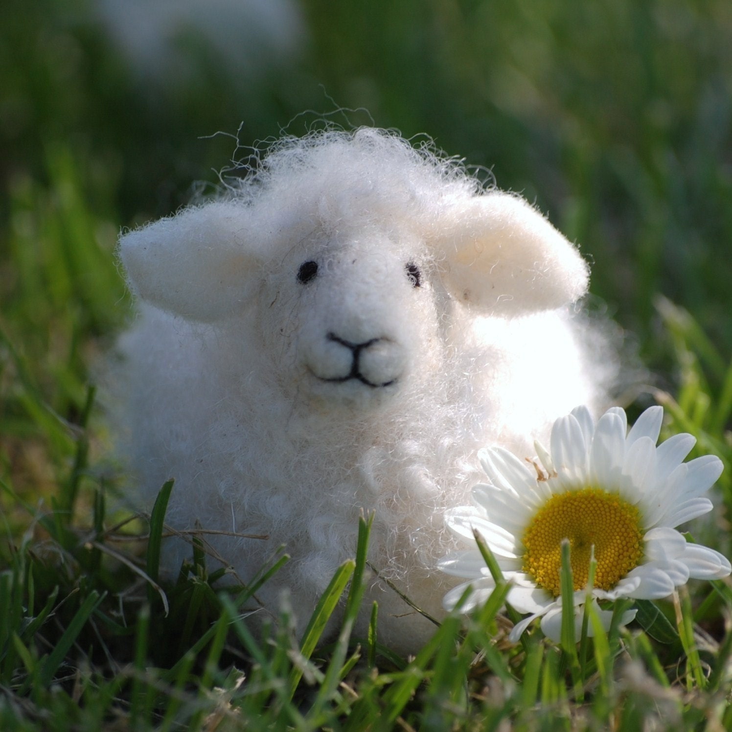 Needle Felting kit, Sheep