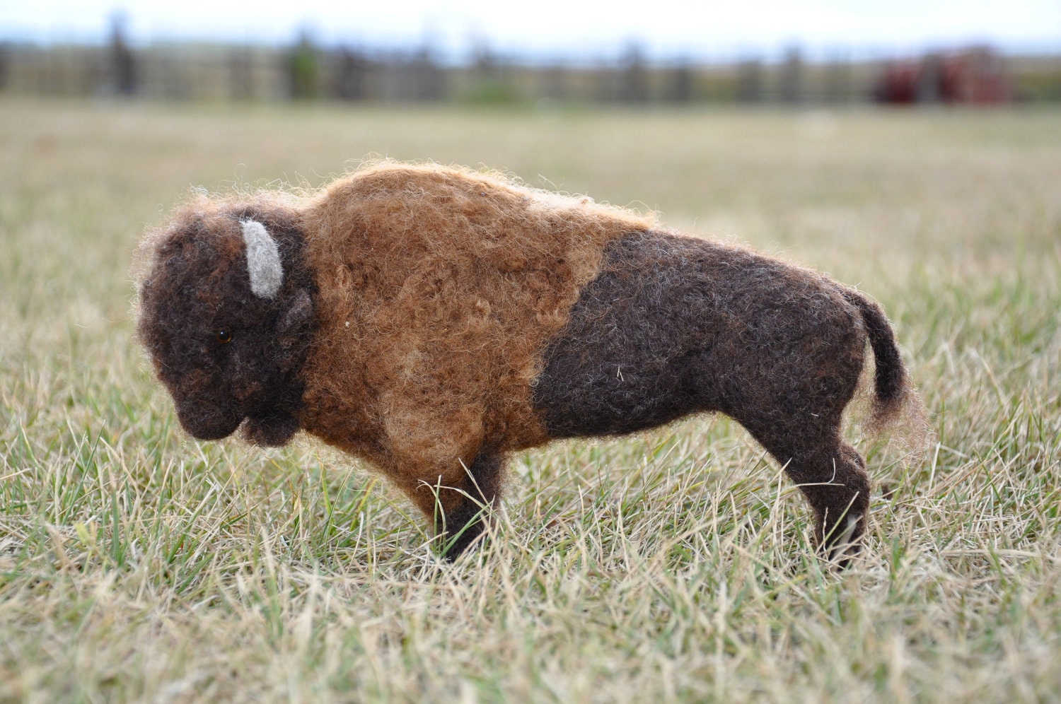 Needle Felted Bison - Buffalo - Wildlife- Animal