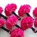 Silk Wedding Bouquet of Hot Pink Florals Wrapped in Black Bridal and Bridesmaids Bouquet Set