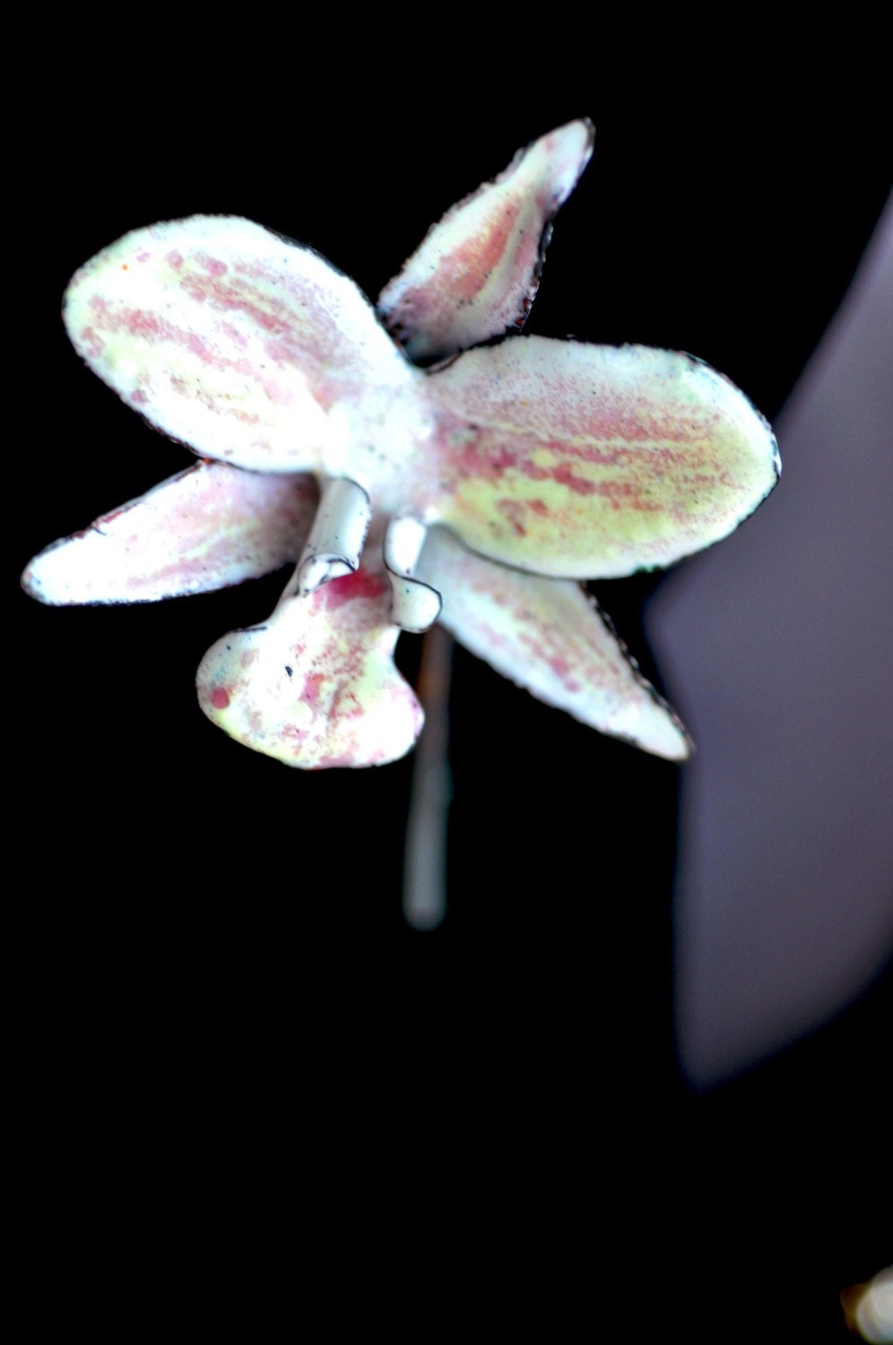 Dendrobium 'Lusian Pink' Orchid - Enameled Pin