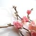 sakura branch - a cherry blossom hair clip