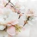 pastel pink / ivory flower hair accessory - DARCY - pearl, rhinestone bridal hair clip