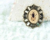 Fly ugly-cute teen Metal Brooch Jewelry steampunk - Illustration Halloween stoking stuff
