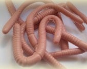 Gone Fishing - Worm Soaps - Boy Birthday Party Favors - Father's Day Gifts - Reel Fun Il_170x135