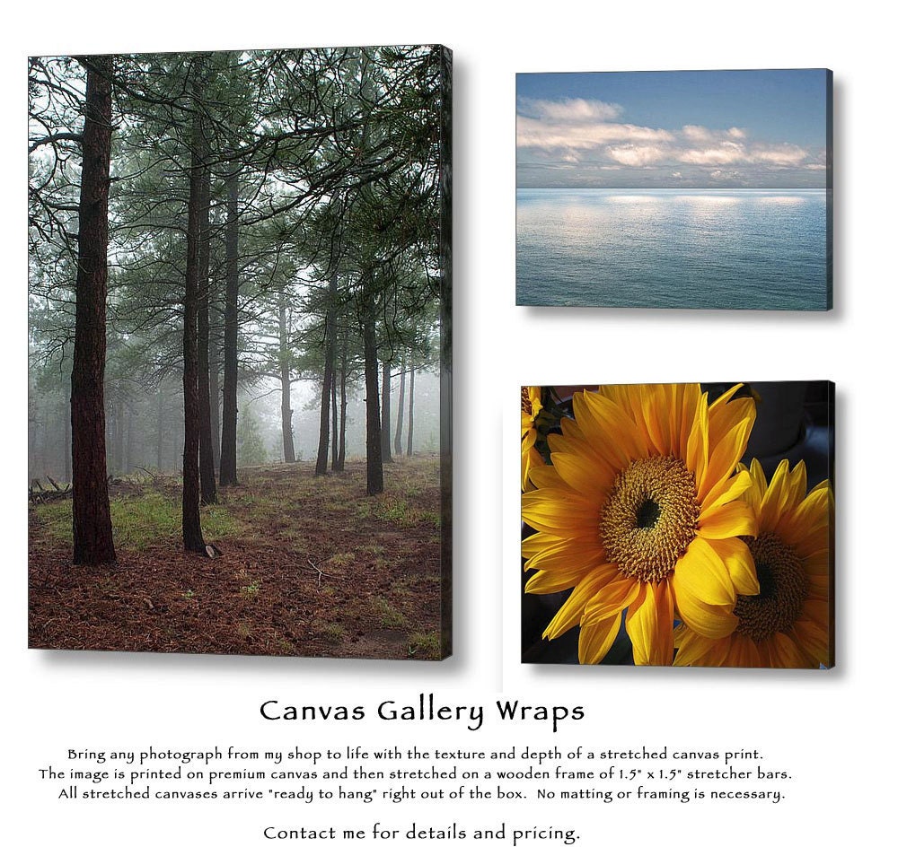 California Coast Photo -Pacific Coast -Bodega Bay -Coastal Decor -Seascape -Ocean Photography -11x14 Colorado Fine Art Photograph