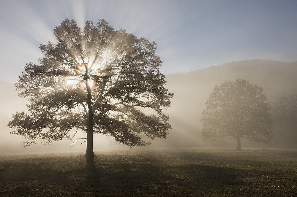 Sunrise in Cades Cove