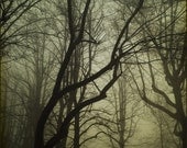 The evening was lonely, 8x11 inches original fine art photograph