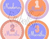 PRINTABLE DIGITAL FILE Baby Girls First Year Shirt Decals Stickers (month to month) Il_170x135