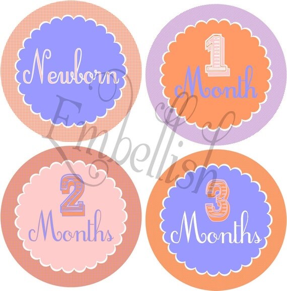 PRINTABLE DIGITAL FILE Baby Girls First Year Shirt Decals Stickers (month to month) Il_570xn