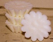 soy paraffin tart melt wax Winter Garden