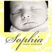 custom photo birth announcement - bold damask.