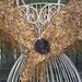 OOAK Gold and Tan - Hand Knit Shawl - Spring and Summer Fashion Accessory - Designer Collection - Ready to Ship