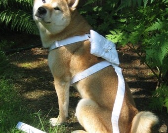 Ring Bearer Wedding Harness for X-large or large sized dogs