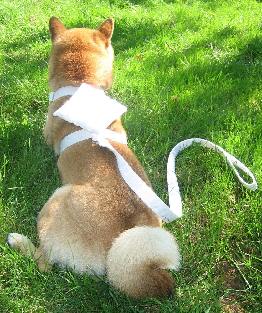 Ring Bearer Wedding Harness for x-small or small sized dogs