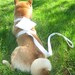 Ring Bearer Wedding Harness for x-small or small sized dogs