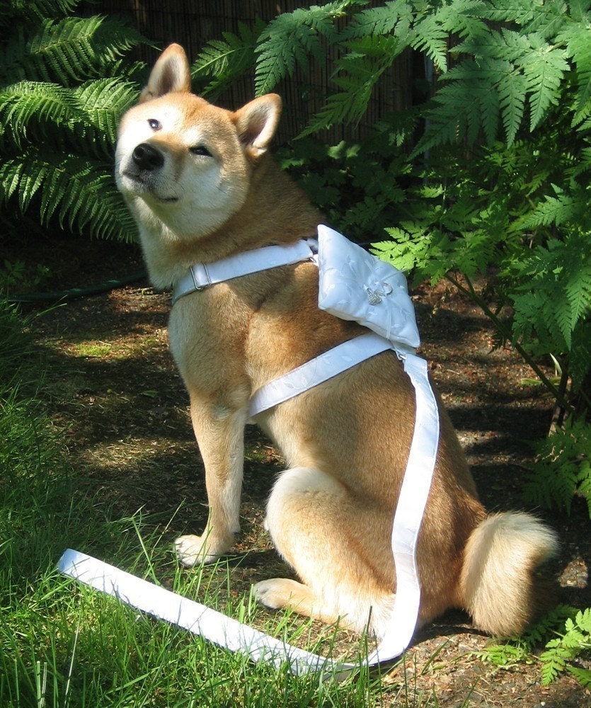 Ring Bearer Wedding Harness for X-large or large sized dogs