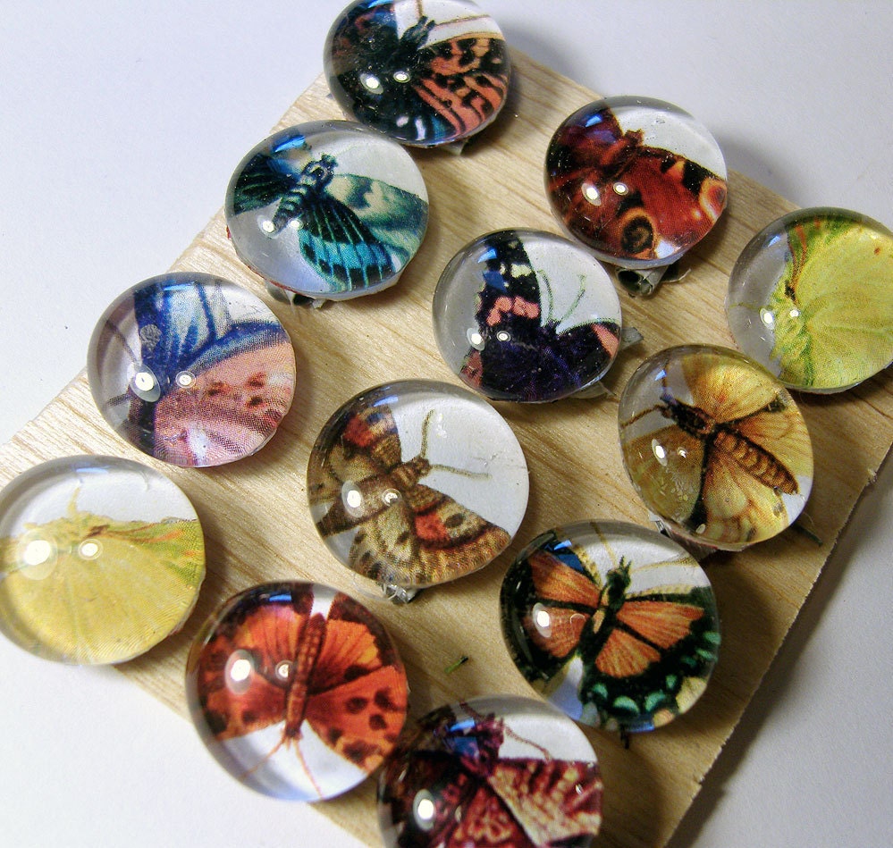 Butterfly and Moth Magnet Set