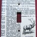 vintage dictionary STAG (red deer) light switch plate cover (extra large version)