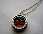 Real Monarch Butterfly and Blue Morpho Butterfly Wing Petite Pendant Double Sided Necklace Silver Jewelry