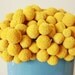craspedia cluster