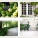 SALE - 8x10 Photo Collection, Paris in Green