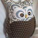 Coco the Owl