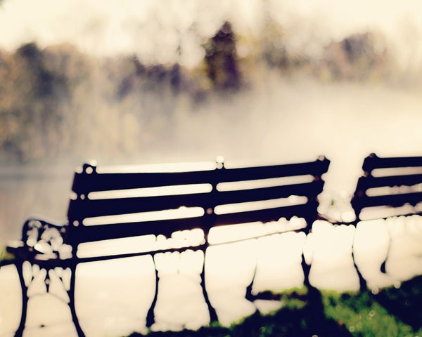 Mist in the Park - 16x20 Fine Art Photography Print - out of focus home decor photo for bedroom and living room art