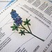 Project Bluebonnet- Blank Architecture Construction Card