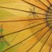 Sunflower with Dragonflies Theme Hand Painted Parasol