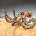 Glass Octopus Sculpture paperweight Aquarium Art Ocean Boro KT (made to order)
