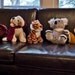 Texas Bear Plush Stuffed Animal with OVERSIZED HANDCRAFTED GRAPHIC VAGINA mature