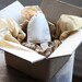 message in a bottle letter service