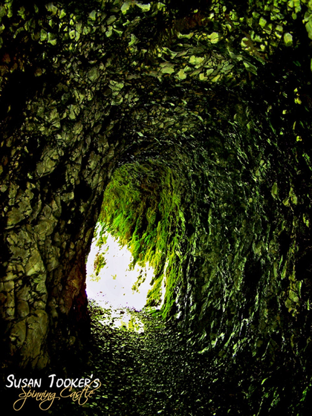 Waterfall Tunnel Mossy Green Fine Art Photography Enchanted Eagle Creek Trail Nature Oregon Greeting Card BURROW AND MOSS by Spinning Castle