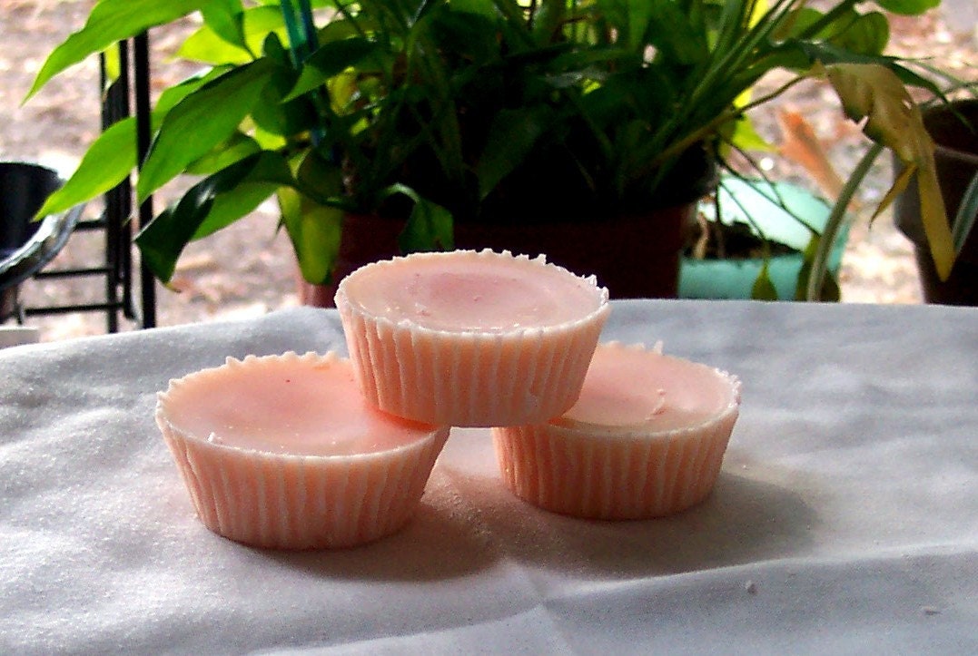 Peach Love Spell Soy Tart