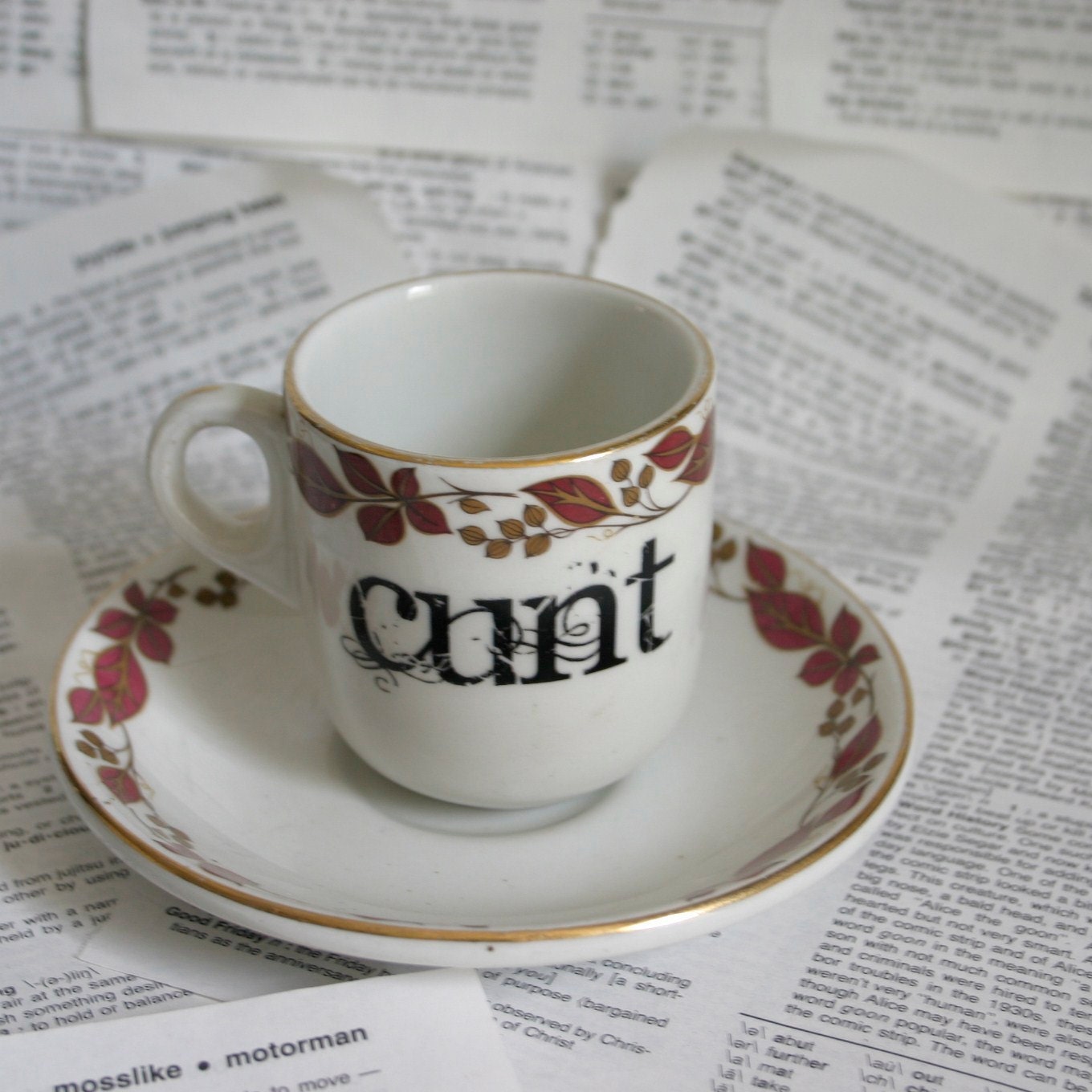 Mature C Word Maddock teacup and saucer