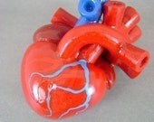 I'll Have Your Heart In My Hands  - Red Anatomically Correct Human Heart - Pendant / Necklace