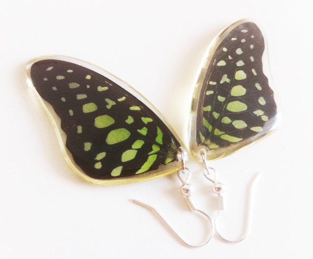 Real Butterfly Wing Earrings