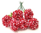 Red Gingham Rose Bouquet - (6)