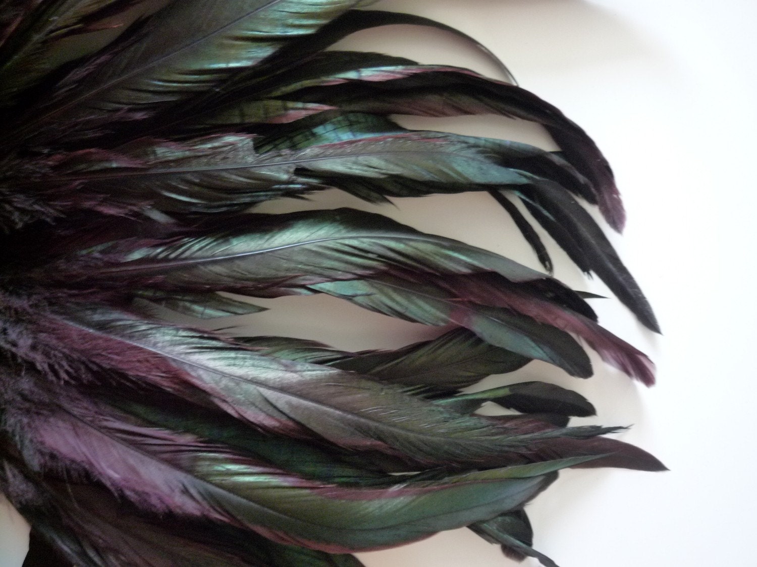 COQUE TAIL FEATHERS Loose / Iridescent Dark Plum Eggplant Purple / 169